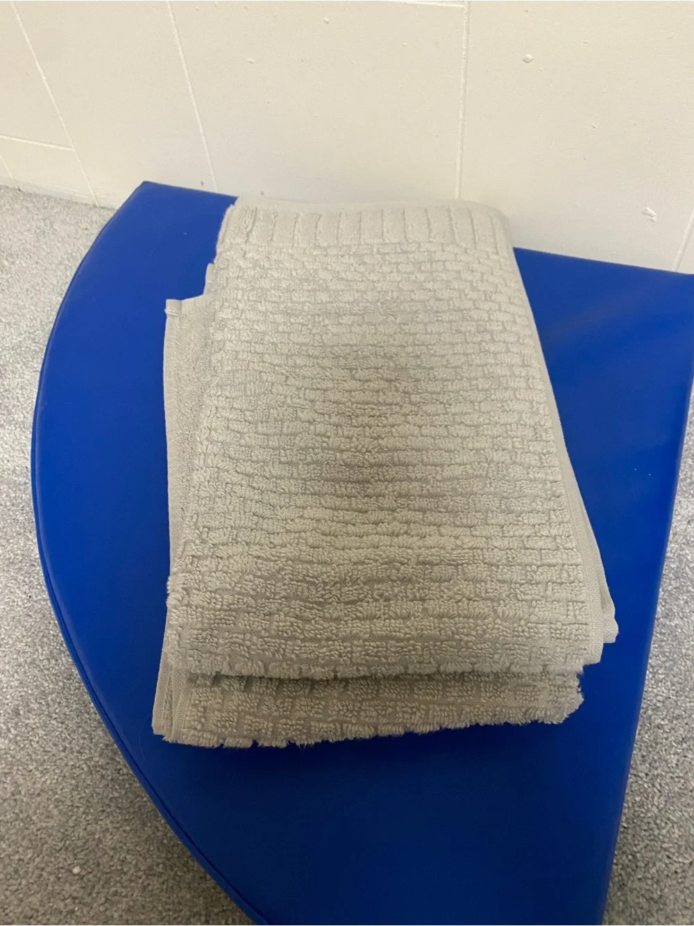 Costco plush gray
